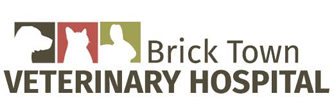 Link to Homepage of Brick Town Veterinary Hospital