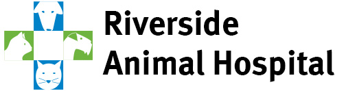 Brick Town Veterinary Hospital