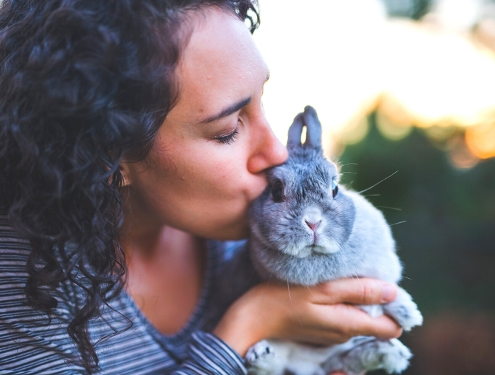 Why Your Rabbit Needs an Annual Vet Visit